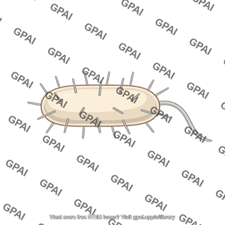 Bacterium with pili and flagellum