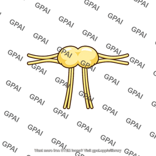 Subpharyngeal ganglion