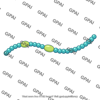 Anabaena
