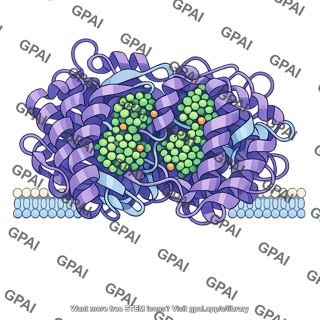 Photosystem ribbon style