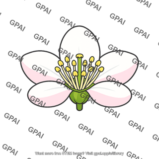 Apple flower