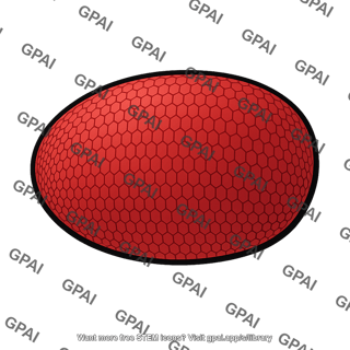 Eye drosophila
