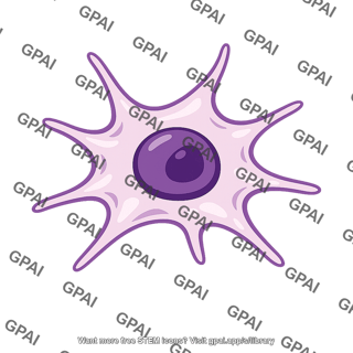 Human glioblastoma cell