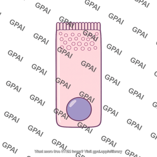 Intestinal gland cell
