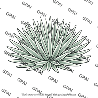 Silversword