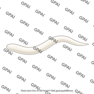 Pinworm