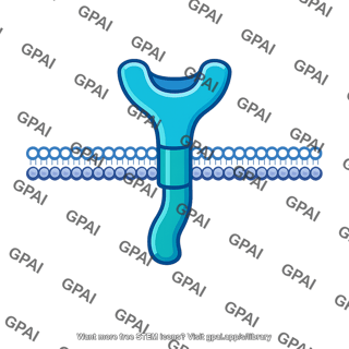 Plasma membrane receptor