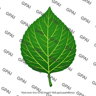 Photosynthetic leaf