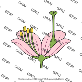 Self pollination unlikely flower