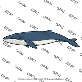 Baleen whale