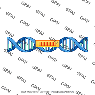 Clock gene