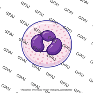 Neutrophil
