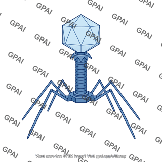 Phage t4