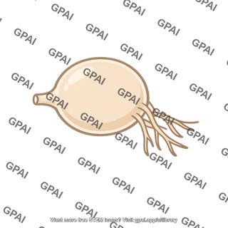 Chytrid fungus