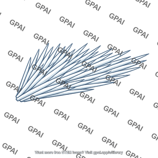 Raphide crystal bundle