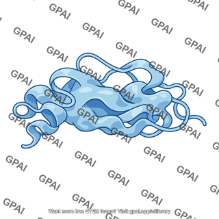 Enzyme denatured