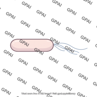 Rod shaped bacterium