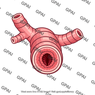 Bronchiole constricted
