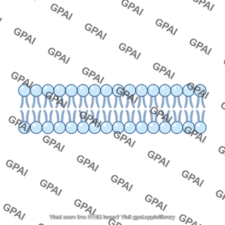 Cellular membrane blue gray