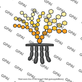 Lipopolysaccharide