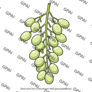 Grape bunch gibberellin treated