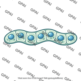 Protist multicellular