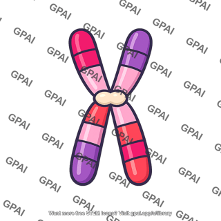Chromosome recombinant