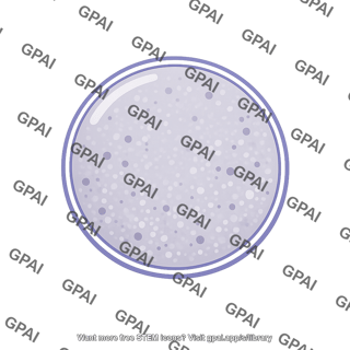 Hydrolytic vacuole