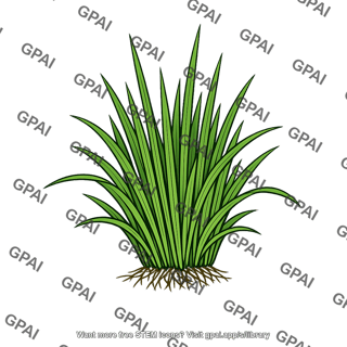 Grass