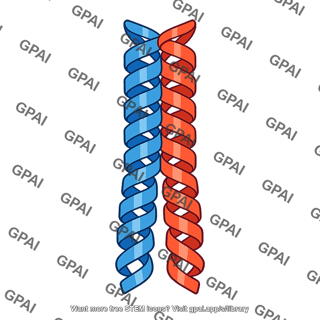 Myod protein dimer