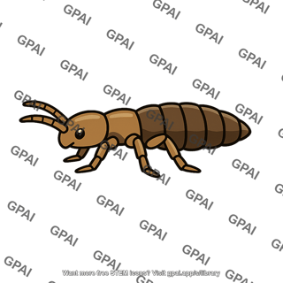 Insect like invertebrate