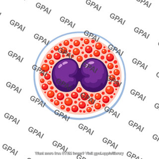 Eosinophil