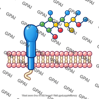 Identification tag glycoprotein