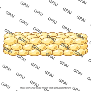 Subcutaneous fat