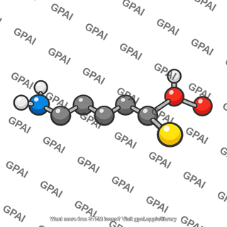 Methionine molecule