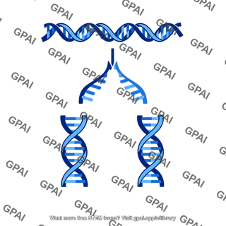 Dna replication semi conservative
