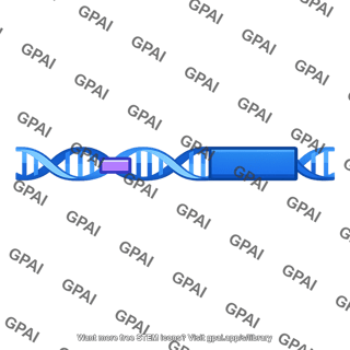 Regulatory sequence