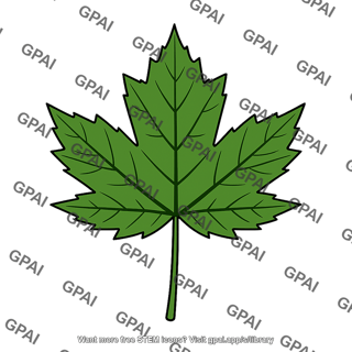 Maple leaf