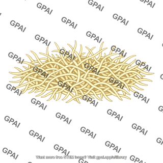 Multicellular fungus