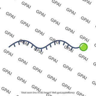 Labeled probe