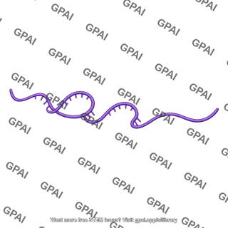 Rna single stranded