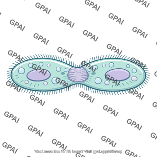 Paramecium conjugating pair