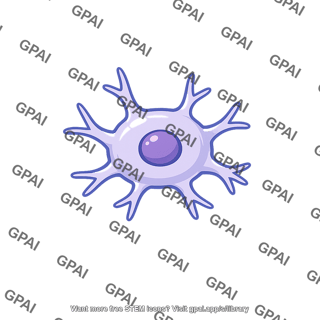 Glial cell