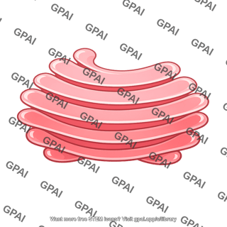Golgi cisternae