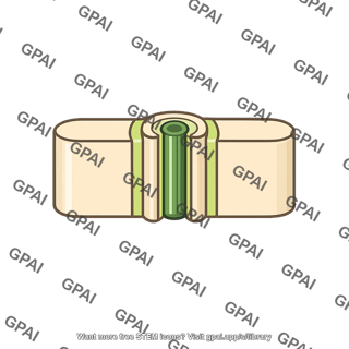 Plasmodesmatal pore