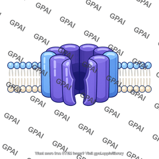 Transmembrane transport protein