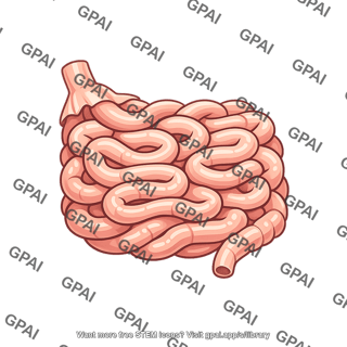 Small intestine