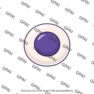 Stem cell embryonic