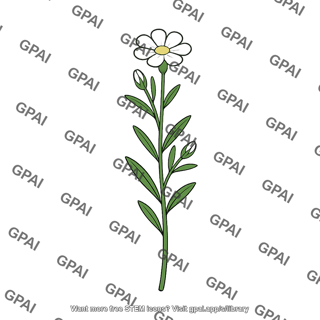Wildflower white