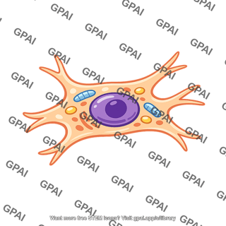 Differentiated animal cell